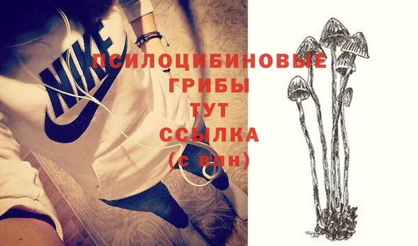 гашик Красноперекопск